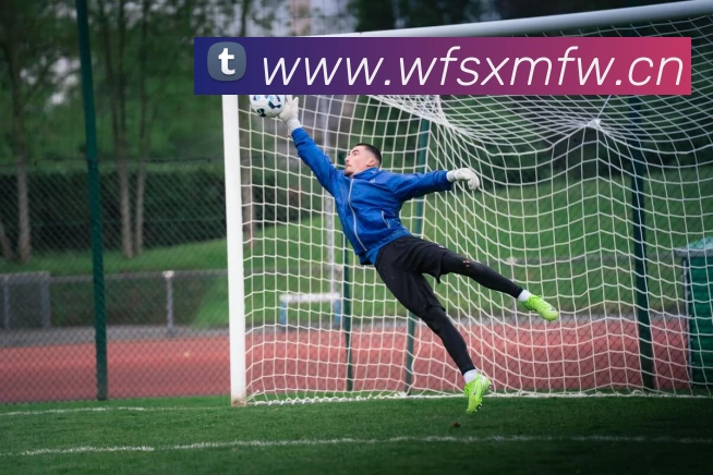 九游在线平台官网平台生态图