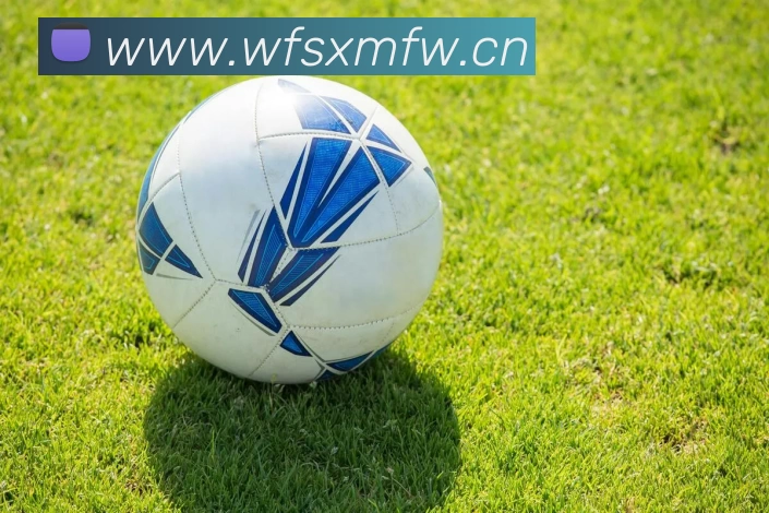 九游在线平台官网APP 封面图